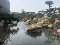 -罗红摄影艺术馆