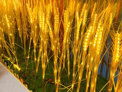 -陈艳红火锅菜·冒菜(簋街店)
