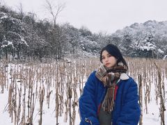 -武陵山森林公园