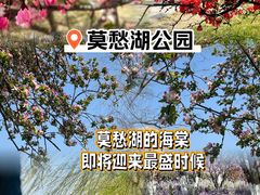 -莫愁湖公园