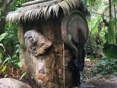 -呀诺达热带雨林