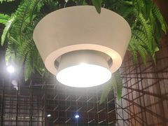 -天山醉美辣子鸡(文艺路店)