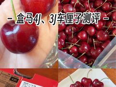 -盒马鲜生(红莲店)