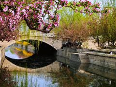 -海棠花溪(元大都城垣遗址公园)