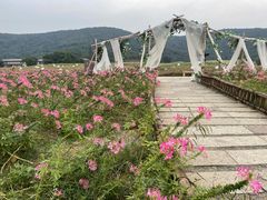 -凡花楼(拈花湾店)