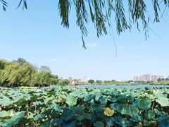 -济南大明湖景区