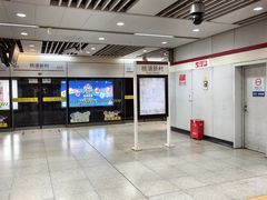 -桃浦新村(地铁站)