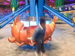 -青岛嘉年华主题乐园