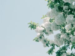 -杭州城北体育公园