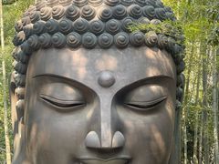 -杭州植物园
