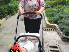 -田螺阿姨自营月嫂·育儿嫂(高新店)