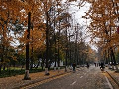 -四川大学(望江校区)