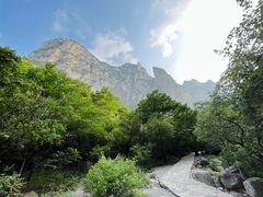 -云台山风景名胜区