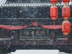 -老雒阳面馆·水席(王城路店)