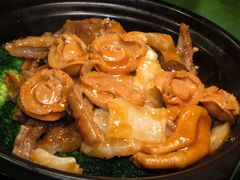 -万年酒楼(越秀南路店)