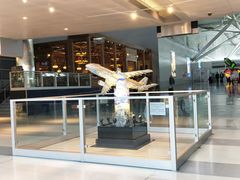 -约翰·菲茨杰拉德·肯尼迪国际机场