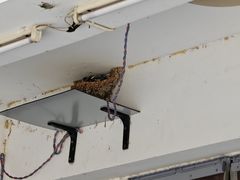 -亿香院土菜馆(东岳街店)