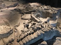 -自贡恐龙博物馆