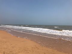 -日照海滨国家森林公园