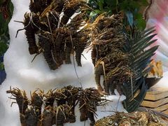 -亚马逊蒸汽活海鲜自助(LCM置汇旭辉广场店)