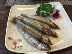 -北海银滩·鉳海(星湖店)