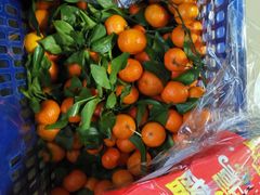 -胡家庙水果批发市场