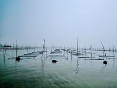 -北岐滩涂