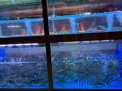 -樽宴酒楼·地道川菜·品质宴请