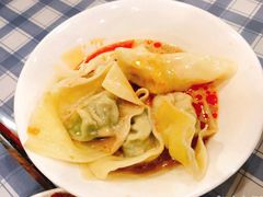 荠菜肉冷馄饨-潘国仙耳光馄饨(黄家阙路店)