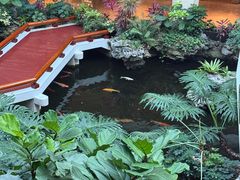 -白天鹅宾馆-宏图府餐厅