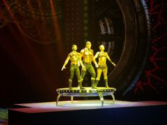 -珠海横琴长隆《卡卡虎奇遇记》