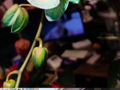 -宝鸡东道花鸟鱼虫市场(吉利花园商场店)