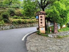 -杨家堂村