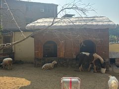 -HERRE·FARM 赫尔露营农场·团建聚会包场