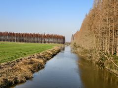 -黄海国家森林公园