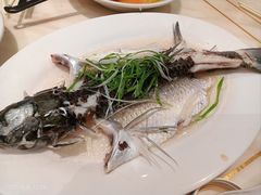 -稻香酒家·35年老字号(侨光店)