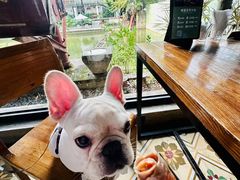 -喜洲吧·江畔老船厂·庭院餐厅(喜临院店)