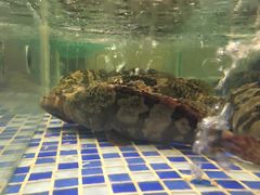 -雅盛品931海鲜酒家