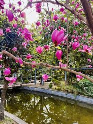 点击看大图 -莲生母婴月子中心(清水河公园店)