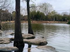 -上海长兴岛郊野公园