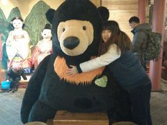 -济州岛泰迪熊博物馆