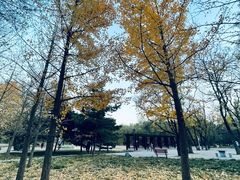 -将府公园