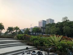 -松坪山公园