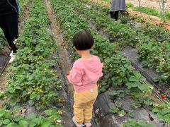 -小鱼草莓采摘园农家乐·小鱼餐厅