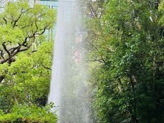 -九龙公园