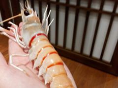 -一本料理(西溪天街店)