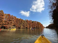 -上海海湾国家森林公园