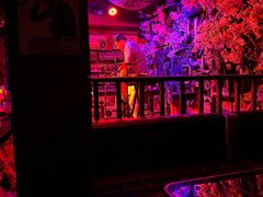 -周庄红庭演艺酒吧