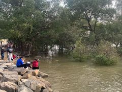 -宝安西湾红树林湿地公园