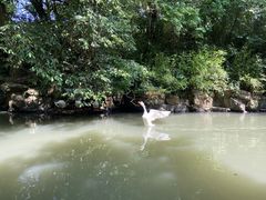 -兰亭风景区
